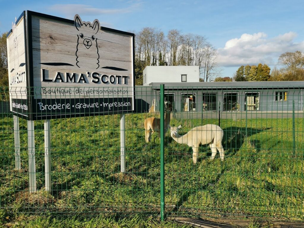 Parc des lamas devant le magasins de cadeaux personnalisés